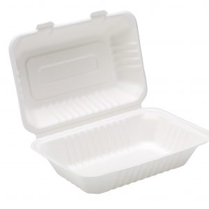 Bagasse Food Box